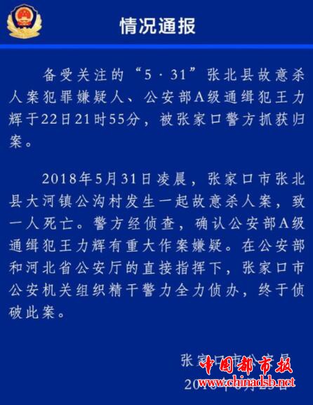 通缉犯王力辉落网